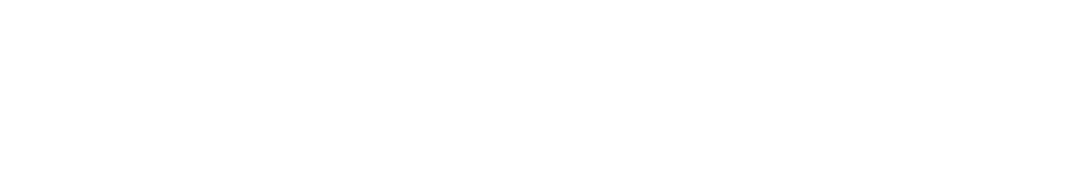BfAuD Büroschriftzug für Datenschutz